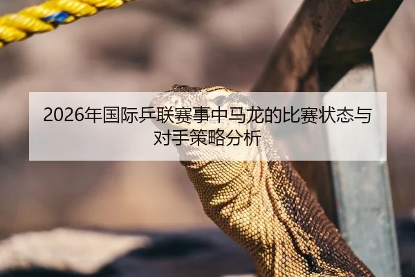 2026年国际乒联赛事中马龙的比赛状态与对手策略分析
