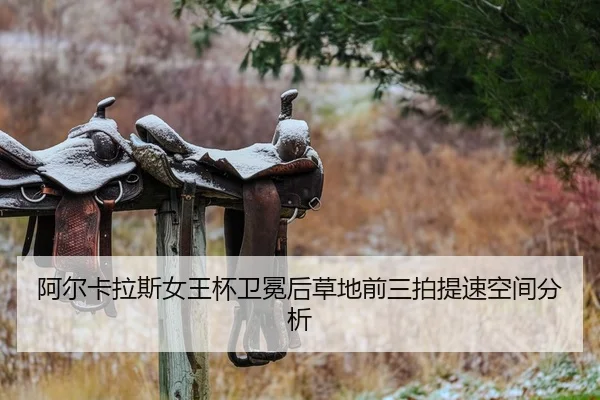 a-er-ka-la-si-nv-wang-bei-wei-mian-hou-cao-di-qian-san-pai-ti-su-kong-jian-fen-xi-2-233.jpg