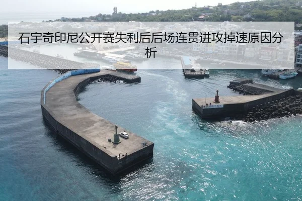 石宇奇印尼公开赛失利后后场连贯进攻掉速原因分析（Kaiyuan）