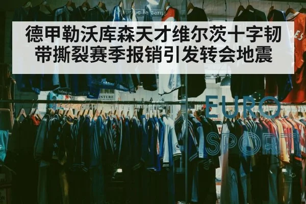 德甲勒沃库森天才维尔茨十字韧带撕裂赛季报销引发转会地震